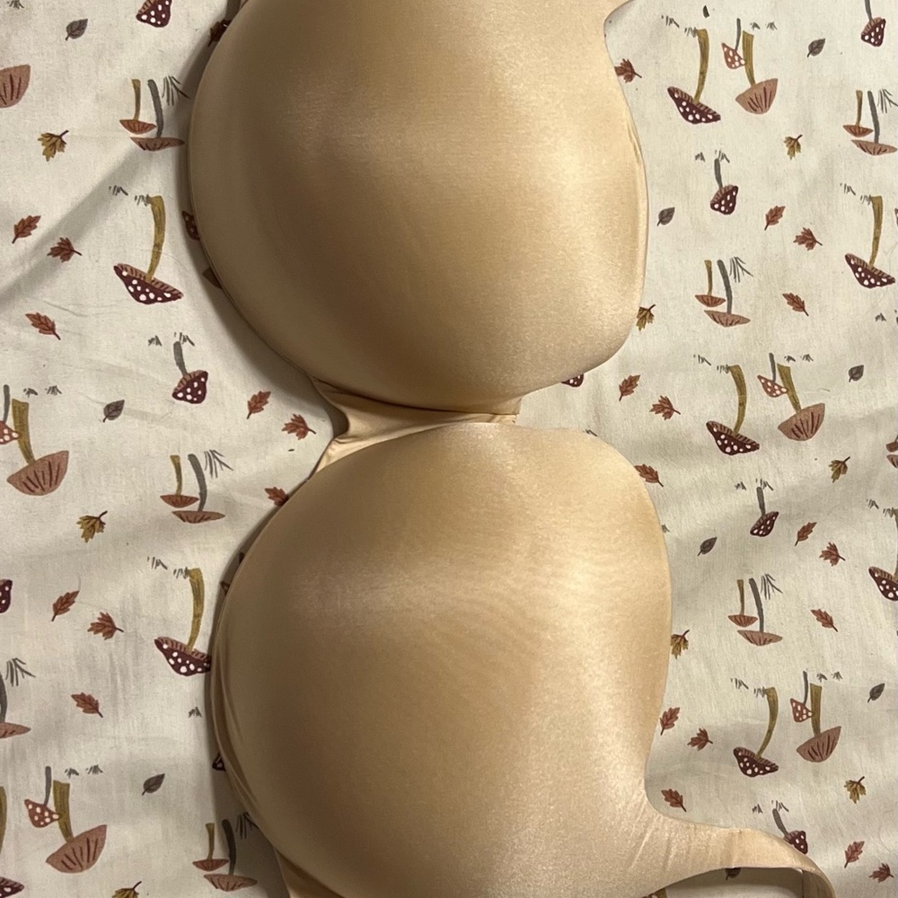 SKIMS Balconette Bra NWOT 38 DDD